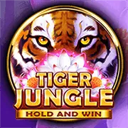 Bàn Baccarat sang trọng tại win55red win