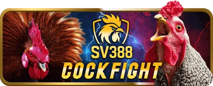 Cá cược thể thao tại Win55red Win